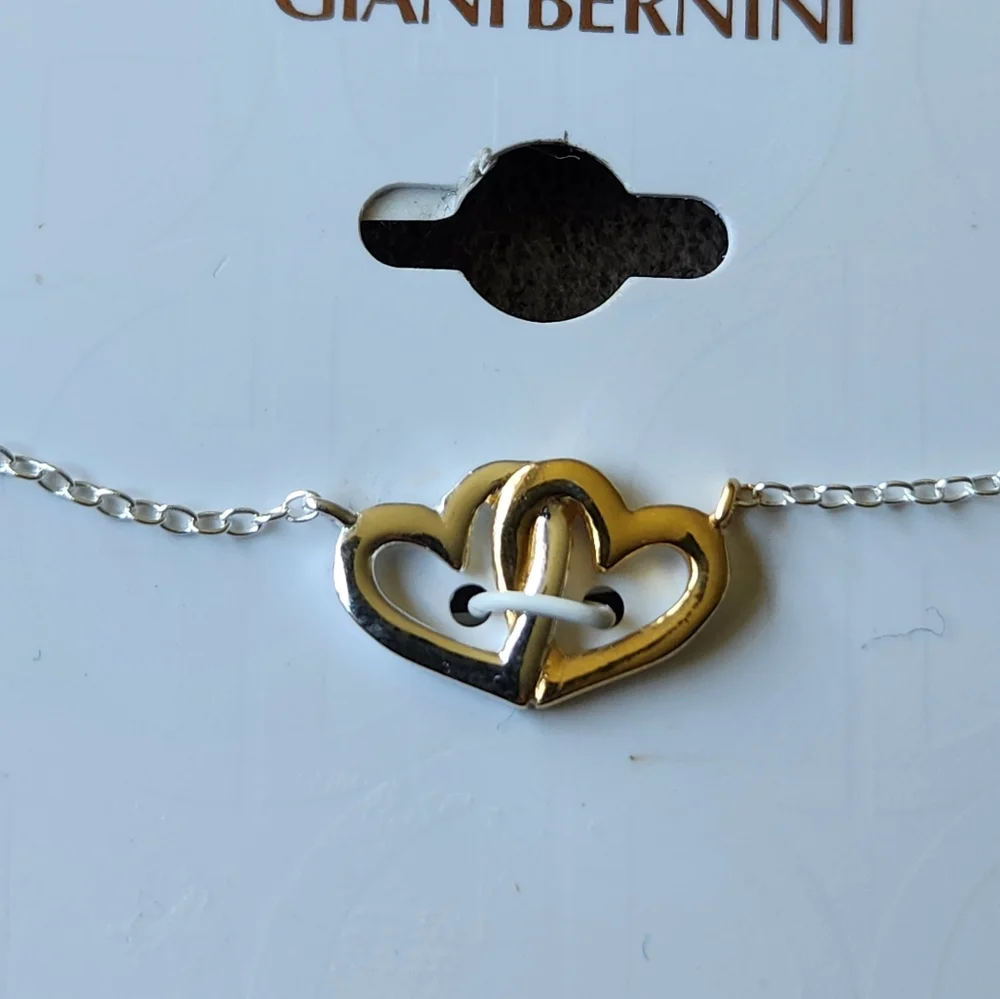 Giani Bernini giani bernini
